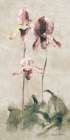 Light Purple Dancing Orchid Panel I Art Print