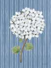 French Blue Hydrangeas I Art Print