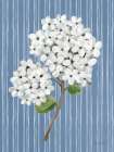 French Blue Hydrangeas II Art Print
