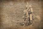 Rodeo I Sepia Vintage Art Print
