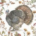 Bountiful Harvest I Art Print