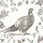 Bountiful Harvest II Sketch Art Print