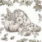 Bountiful Harvest III Sketch Art Print