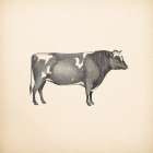 Down on the Farm I No Words Art Print