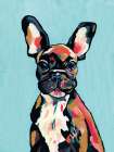 Stanley the French Bulldog Art Print
