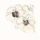 Ivory Poppies I Art Print