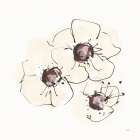 Ivory Poppies II Art Print