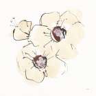Ivory Poppies III Art Print