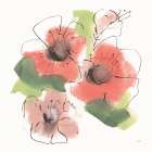 Pink Coral Poppies IV Art Print