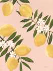 Garden Lemons Art Print