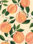 Garden Peaches Art Print