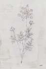 Delicate Meadow I Art Print