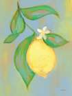 Blue Lemon I Art Print