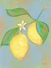 Blue Lemon II Art Print