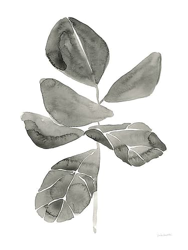 Fiddle Leaf I Art Print