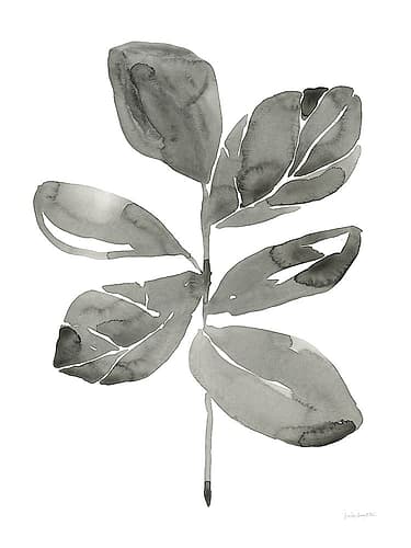 Fiddle Leaf II Art Print