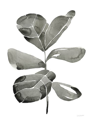 Fiddle Leaf III Nature Print