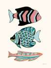 Tropical Fish II Art Print