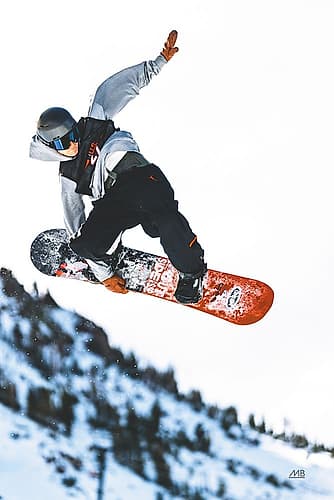 Snow Day III Art Print