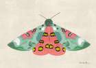 Textured Moth II Bright Art Print