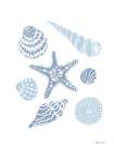 Shells on the Shore II Art Print