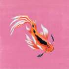 Colorful Koi III Art Print
