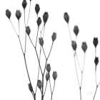 Buds I Art Print
