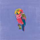 Birds of Paradise II Art Print
