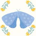Folk Butterfly V Art Print