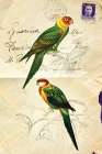 Pretty Bird III Art Print
