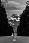 Driving into the Tetons Art Print