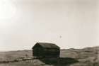 Barn Roost Art Print