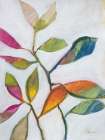 Plant Care Art Print
