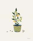 Summer Garden II Art Print