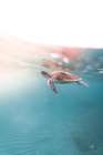 Float On Art Print