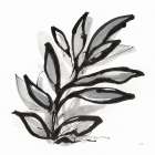 Sustained Leaves III Art Print