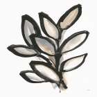 Bold Leaves I Art Print