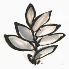 Bold Leaves III Art Print
