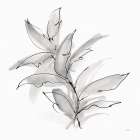 Simple Grey II Art Print