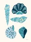 My Tropical Shell Collection II v2 Art Print