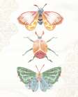 Wings and Things III Art Print