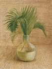 Tropical Leaves II Art Print