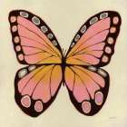 Mariposa Art Print