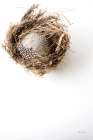 Empty Nest Minimalist Print