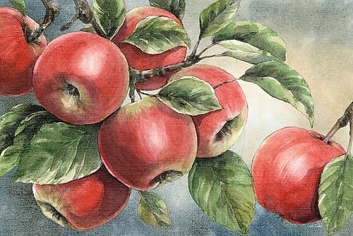 Wild Apples Food Print