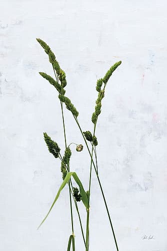Cat Grass Nature Print