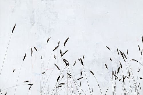 Meadow Grass III Art Print