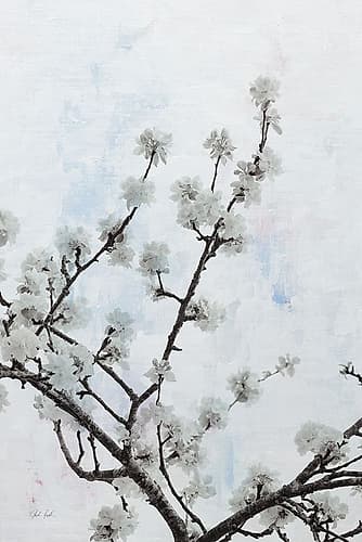 Swiss Blossom Art Print