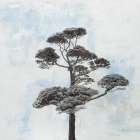 Salcombe Tree Art Print