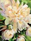 White Peony Art Print